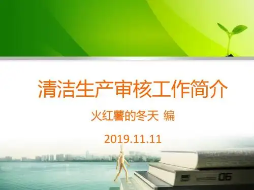 清洁生产审核工作简介与环保核查-精品文档