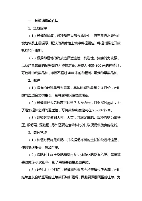 种植杨梅的方法