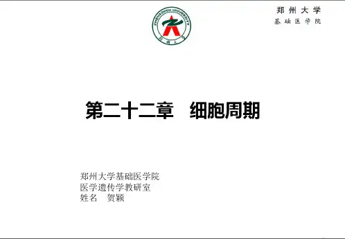 细胞周期 PPT课件