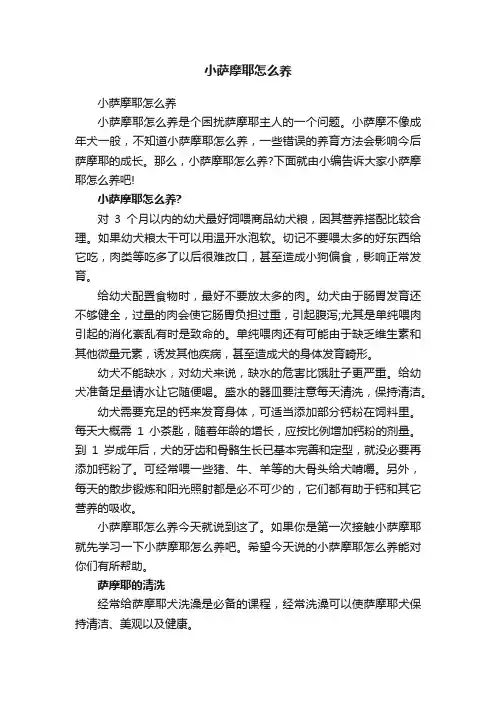 小萨摩耶怎么养