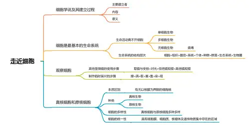 高一生物学人教版(2019)必修一思维导图