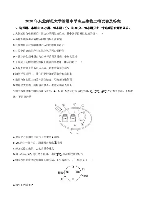 2020年东北师范大学附属中学高三生物二模试卷及答案