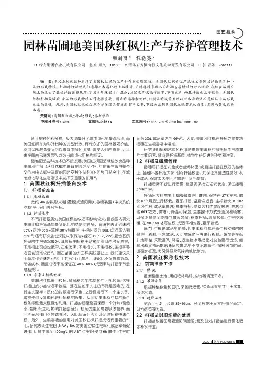 园林苗圃地美国秋红枫生产与养护管理技术