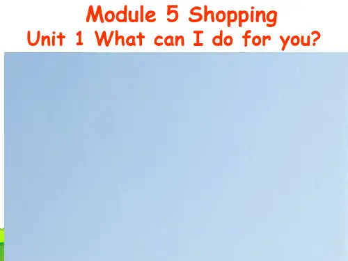 外研版七年级英语下册Module5 Unit1 What can I do for you课件