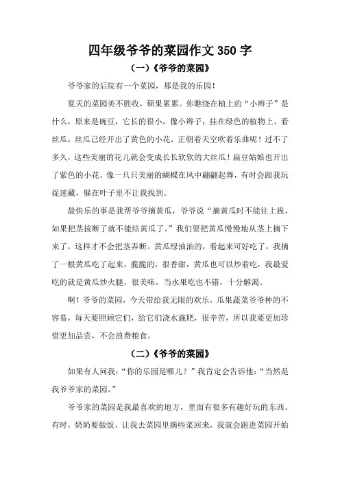 四年级爷爷的菜园作文350字