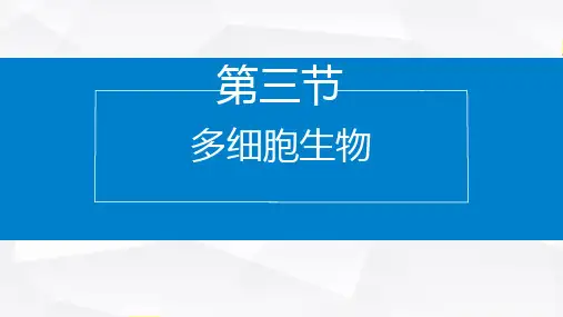 多细胞生物(课件)-【新教材】2024-2025学年七年级生物上学期同步课件(2024苏教版)++