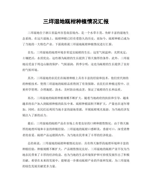 三垟湿地瓯柑种植情况汇报