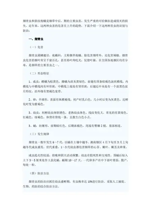 烟青虫和斜纹夜蛾的识别与防治