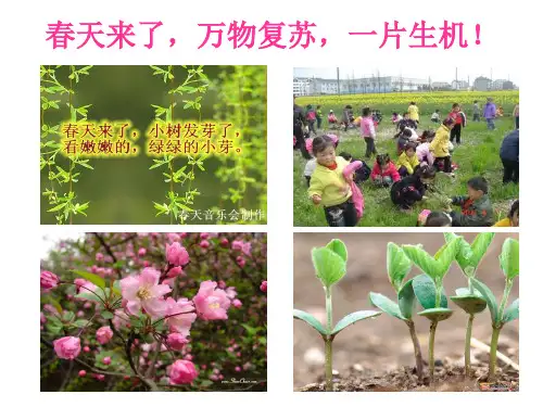 人教版七年级上册生物3.2.1种子的萌发 课件 (共31张PPT)