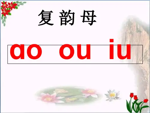 汉语拼音ao ou iu 人教(部编版) (共7张PPT)PPT 优秀课件