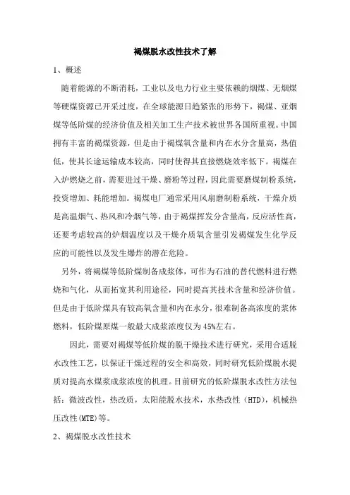 褐煤脱水改性技术了解