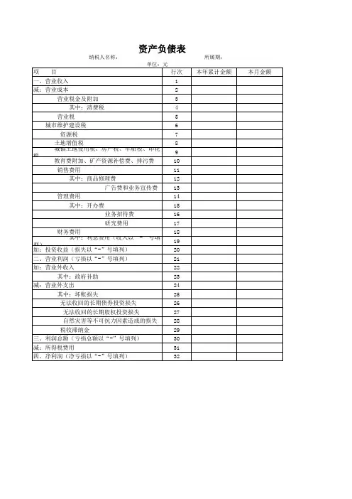 财务报表 - 空白
