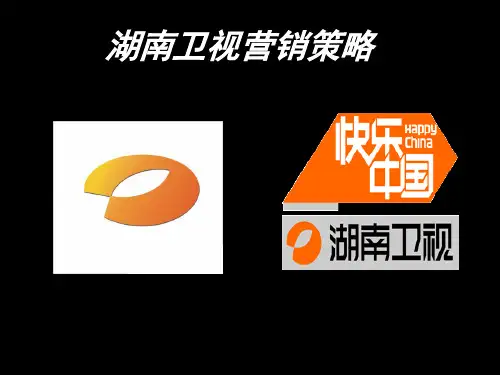 湖南卫视营销策略