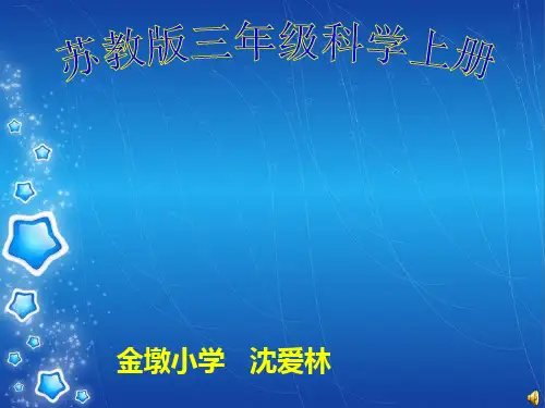 五年级上册科学课件《15青岛版纸》青岛版