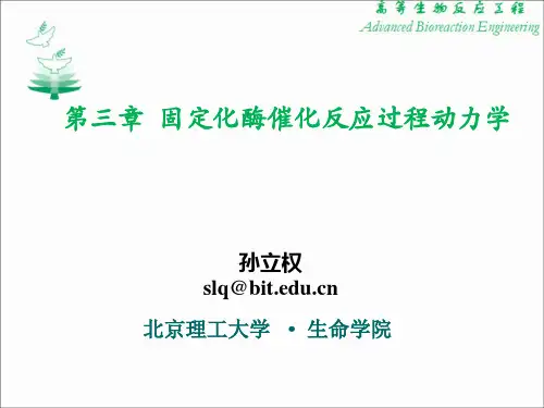 第三章  固定化酶及反应动力学0