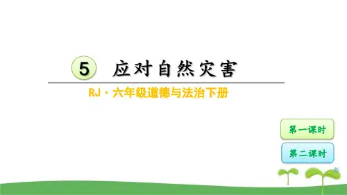 部编版六年级道德与法治下册5应对自然灾害课件优质