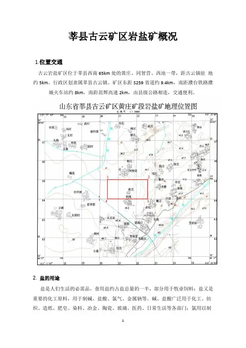 莘县古云矿区黄庄矿段岩盐矿概况