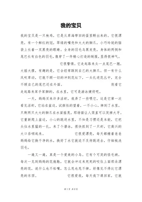 我的宝贝_六年级作文_1