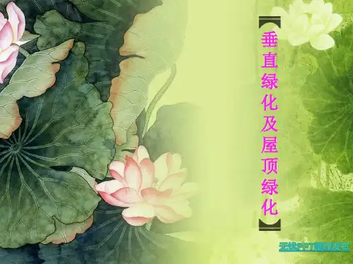 垂直绿化