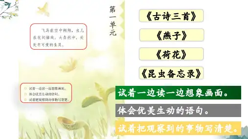 三年级语文下册昆虫备忘录作业练习附答案