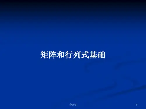 矩阵和行列式基础PPT学习教案