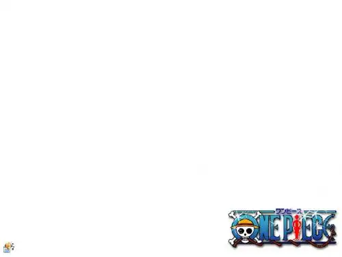 ONE PIECE