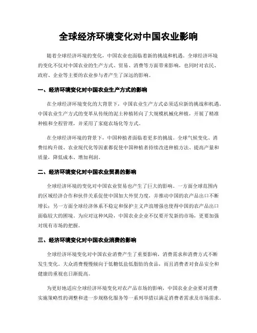 全球经济环境变化对中国农业影响