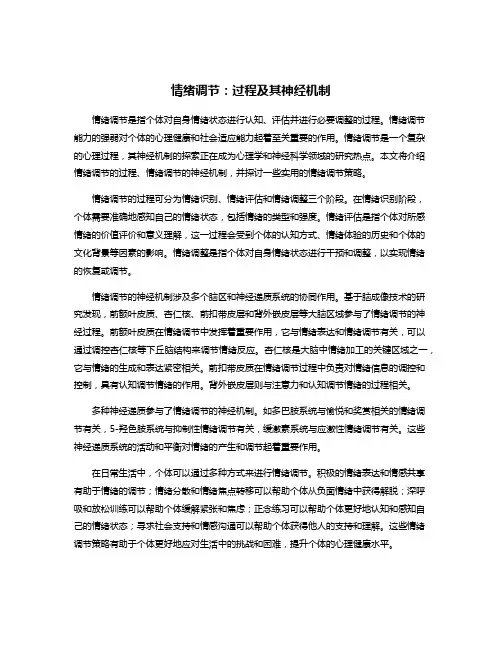 情绪调节：过程及其神经机制
