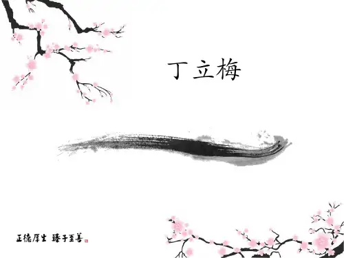 丁立梅简介