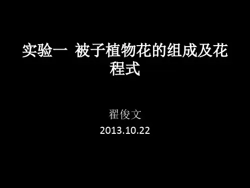 花程式
