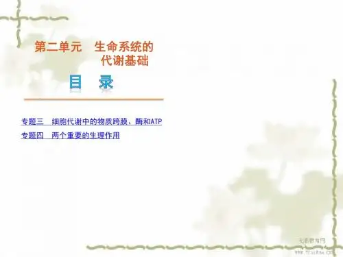 2012高考生物二轮复习课件：生命系统的代谢基础(新课标)