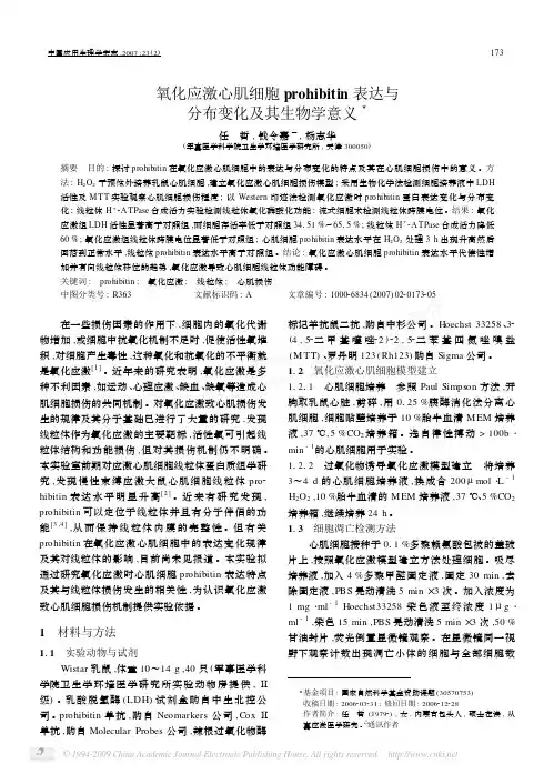 氧化应激心肌细胞prohibitin表达与分布变化及其生物学意义