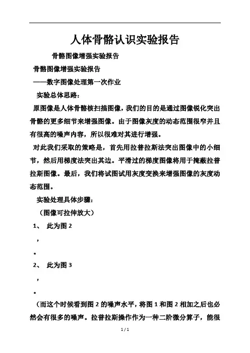 人体骨骼认识实验报告
