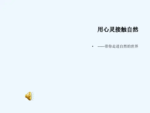 第2课用心灵接触自然