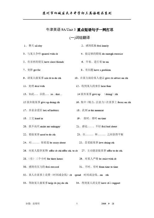 牛津英语9A Unit 3 重点短语句子一网打尽(双语)