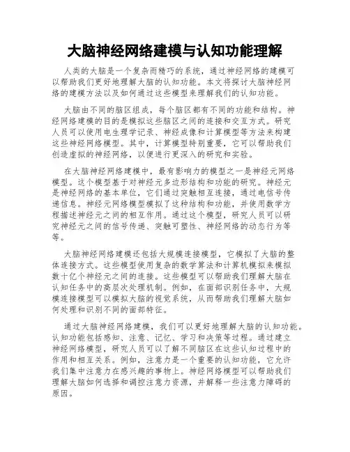 大脑神经网络建模与认知功能理解