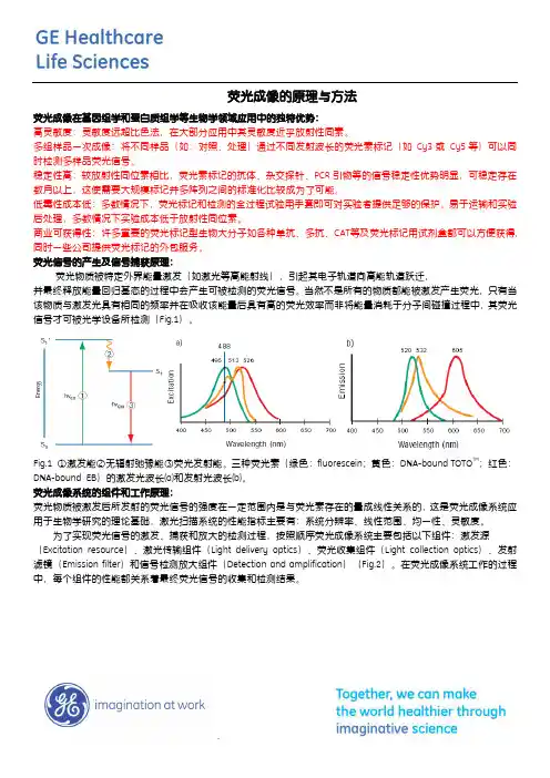 荧光成像的原理和方法