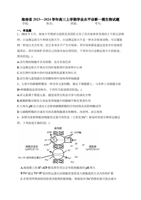 海南省2023—2024学年高三上学期学业水平诊断一模生物试题(含答案)