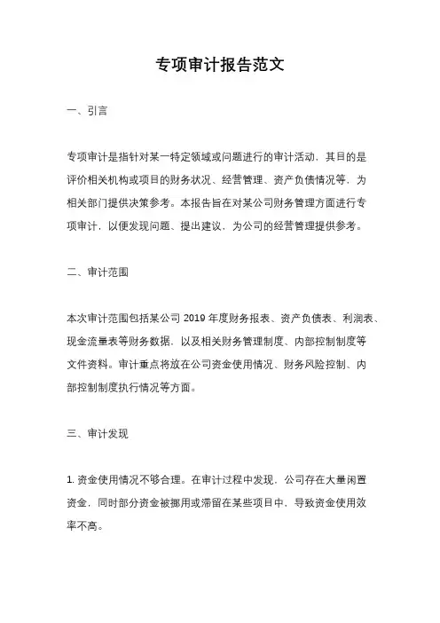 专项审计报告范文