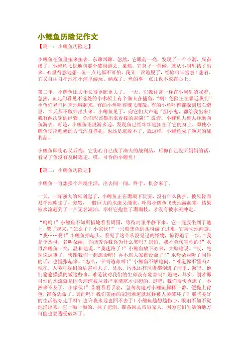 小鲤鱼历险记作文