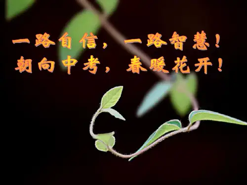 《赏析记叙文词语》PPT课件