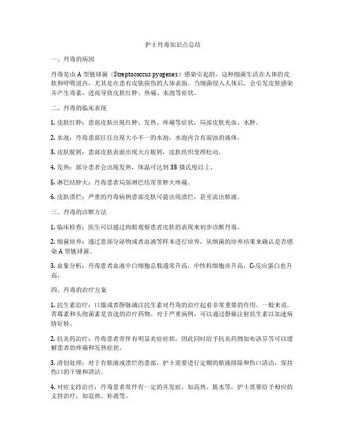 护士丹毒知识点总结