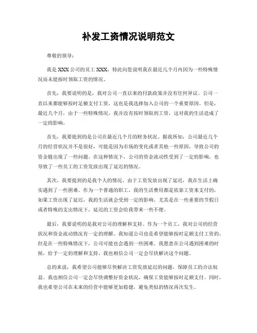 补发工资情况说明范文