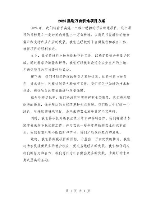2024垦造万亩耕地项目方案