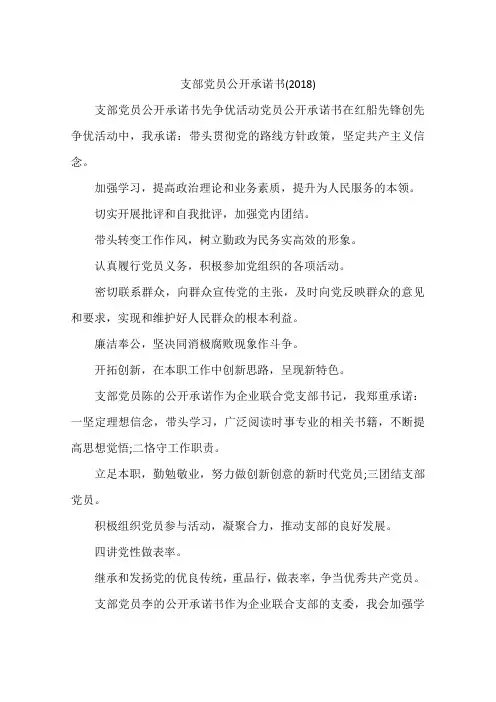 支部党员公开承诺书(2018)