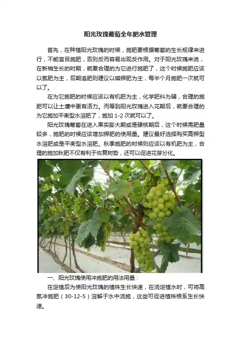 阳光玫瑰葡萄全年肥水管理