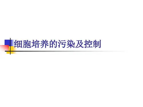 细胞培养的污染及控制