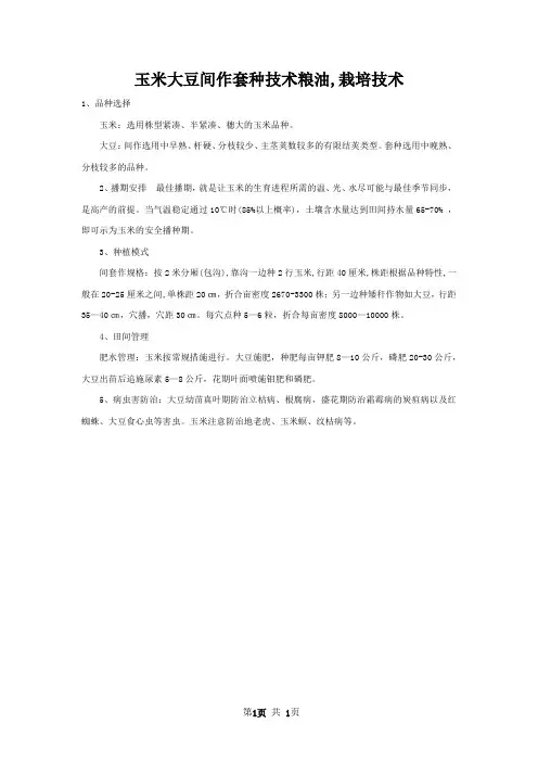 玉米大豆间作套种技术粮油,栽培技术