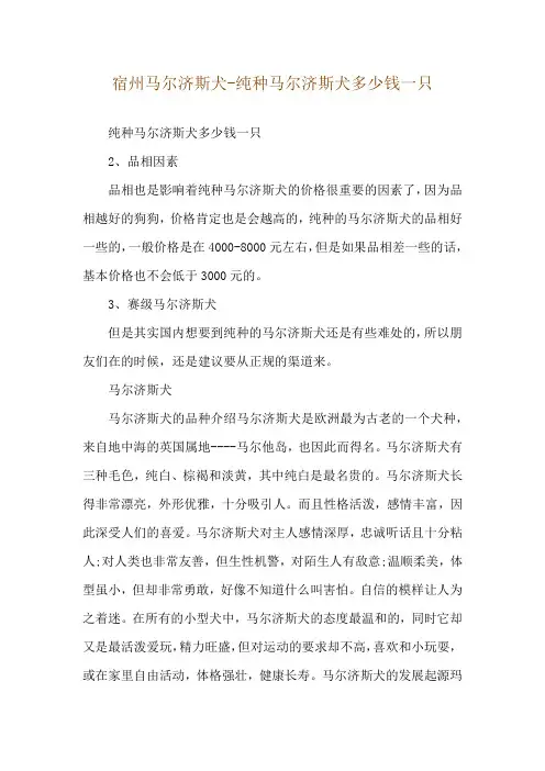 宿州马尔济斯犬-纯种马尔济斯犬多少钱一只