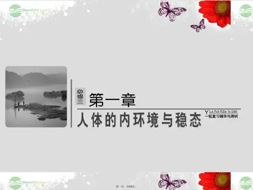 高考生物一轮复习 第一章 人体的内环境和稳态配套课件 新人教版必修3